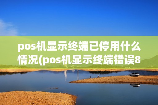 pos机显示终端已停用什么情况(pos机显示终端错误8)