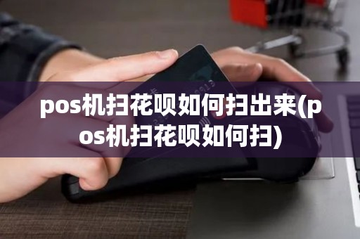 pos机扫花呗如何扫出来(pos机扫花呗如何扫)