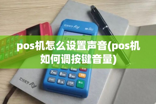 pos机怎么设置声音(pos机如何调按键音量)