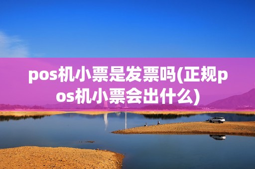 pos机小票是发票吗(正规pos机小票会出什么)