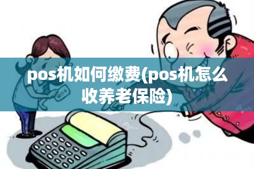 pos机如何缴费(pos机怎么收养老保险) pos机如何缴费(pos机怎么收养老保险)