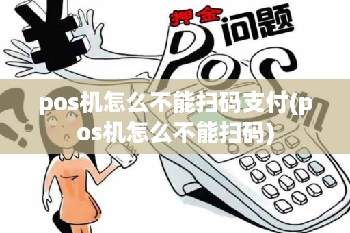 pos机怎么不能扫码支付(pos机怎么不能扫码)