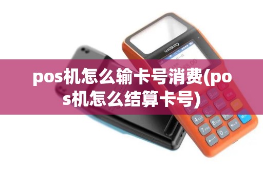 pos机怎么输卡号消费(pos机怎么结算卡号)