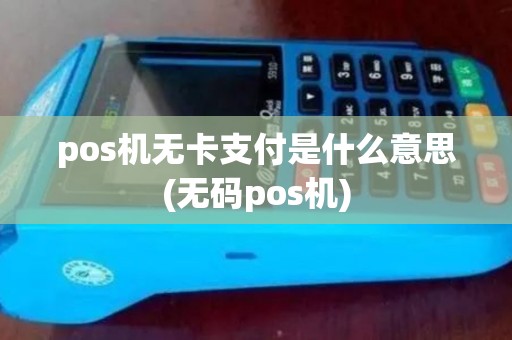 pos机无卡支付是什么意思(无码pos机)