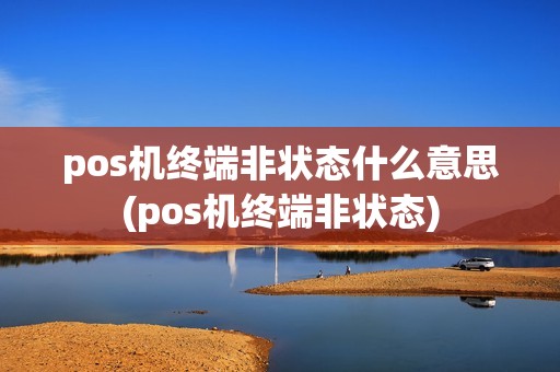 pos机终端非状态什么意思(pos机终端非状态) pos机终端非状态什么意思(pos机终端非状态)