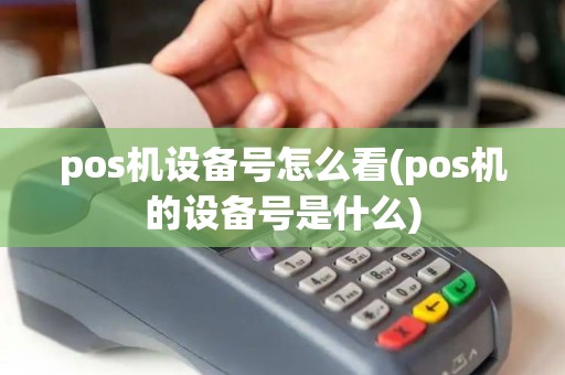 pos机设备号怎么看(pos机的设备号是什么)