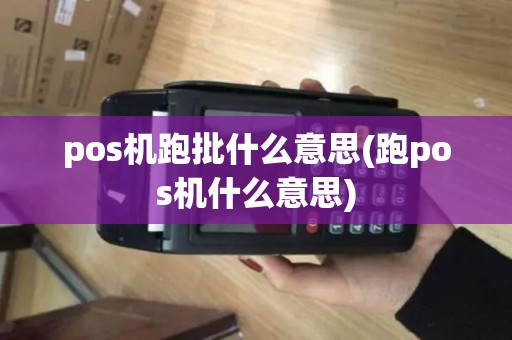 pos机跑批什么意思(跑pos机什么意思)