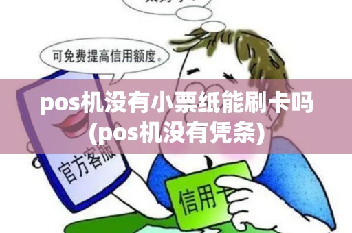 pos机没有小票纸能刷卡吗(pos机没有凭条)