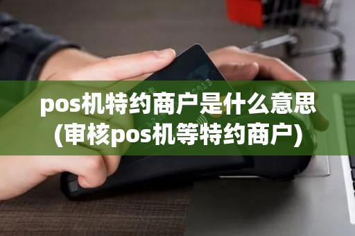 pos机特约商户是什么意思(审核pos机等特约商户)