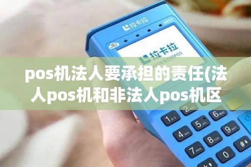 pos机法人要承担的责任(法人pos机和非法人pos机区别)