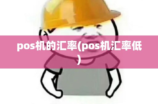 pos机的汇率(pos机汇率低)