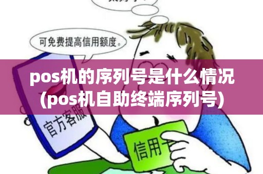 pos机的序列号是什么情况(pos机自助终端序列号)