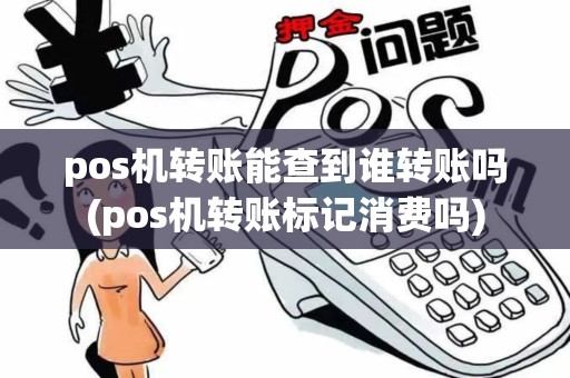pos机转账能查到谁转账吗(pos机转账标记消费吗)