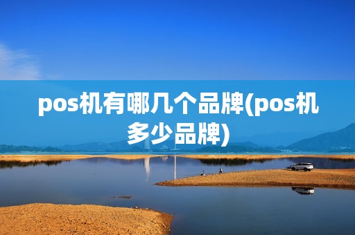 pos机有哪几个品牌(pos机多少品牌)