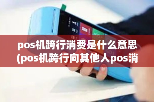 pos机跨行消费是什么意思(pos机跨行向其他人pos消费)