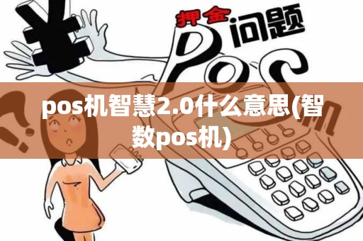 pos机智慧2.0什么意思(智数pos机)