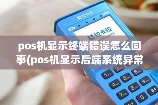 pos机显示终端错误怎么回事(pos机显示后端系统异常)
