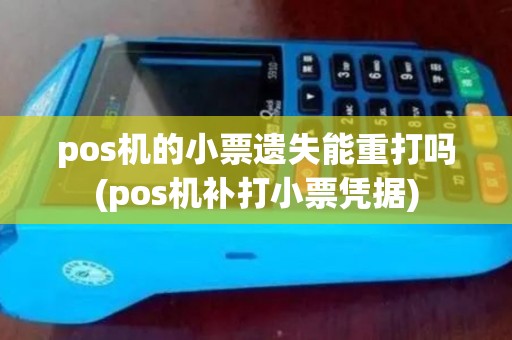 pos机的小票遗失能重打吗(pos机补打小票凭据)