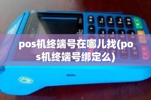 pos机终端号在哪儿找(pos机终端号绑定么)