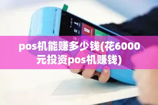 pos机能赚多少钱(花6000元投资pos机赚钱)