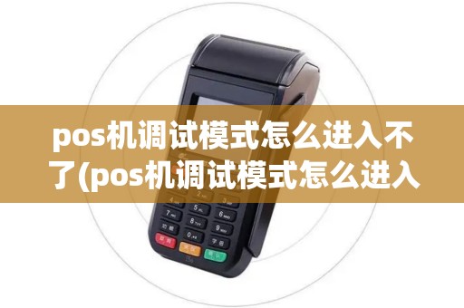 pos机调试模式怎么进入不了(pos机调试模式怎么进入)