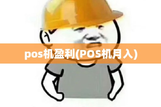 pos机盈利(POS机月入) pos机盈利(POS机月入)