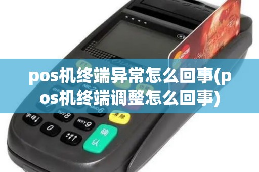 pos机终端异常怎么回事(pos机终端调整怎么回事) pos机终端异常怎么回事(pos机终端调整怎么回事)