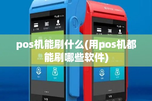 pos机能刷什么(用pos机都能刷哪些软件) pos机能刷什么(用pos机都能刷哪些软件)