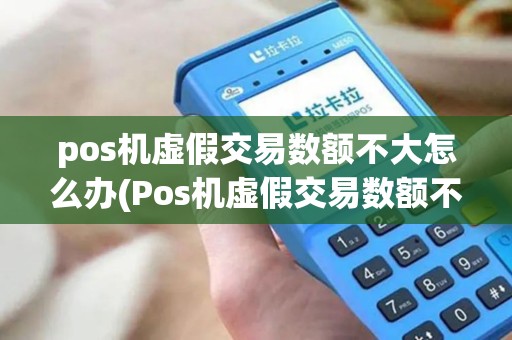 pos机虚假交易数额不大怎么办(Pos机虚假交易数额不大) pos机虚假交易数额不大怎么办(Pos机虚假交易数额不大)
