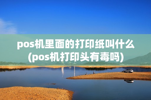 pos机里面的打印纸叫什么(pos机打印头有毒吗) pos机里面的打印纸叫什么(pos机打印头有毒吗)