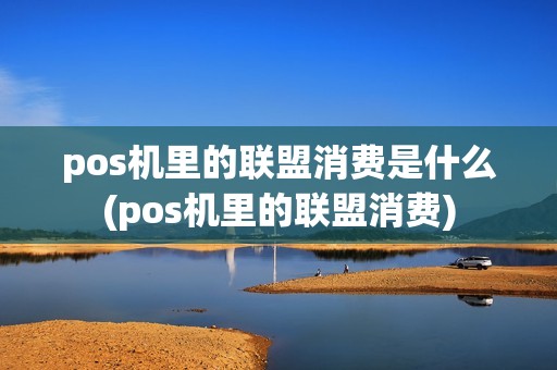 pos机里的联盟消费是什么(pos机里的联盟消费) pos机里的联盟消费是什么(pos机里的联盟消费)