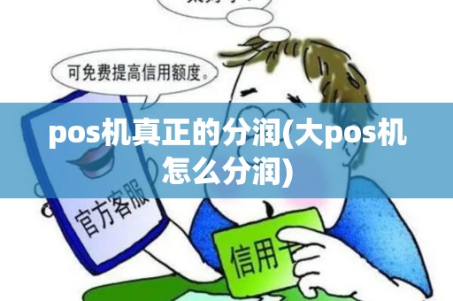 pos机真正的分润(大pos机怎么分润) pos机真正的分润(大pos机怎么分润)