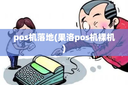 pos机落地(果洛pos机裸机)