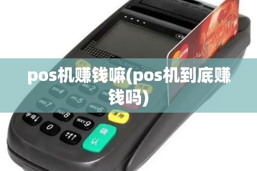 pos机赚钱嘛(pos机到底赚钱吗)