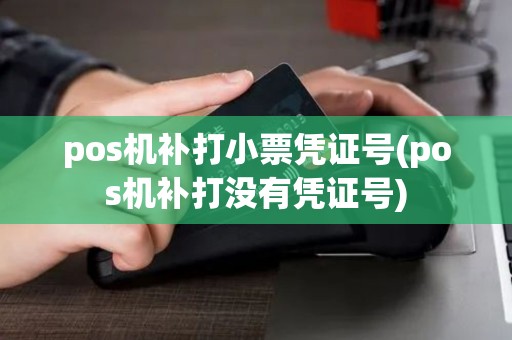 pos机补打小票凭证号(pos机补打没有凭证号)