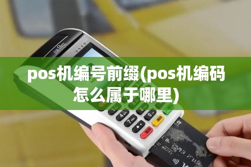 pos机编号前缀(pos机编码怎么属于哪里)