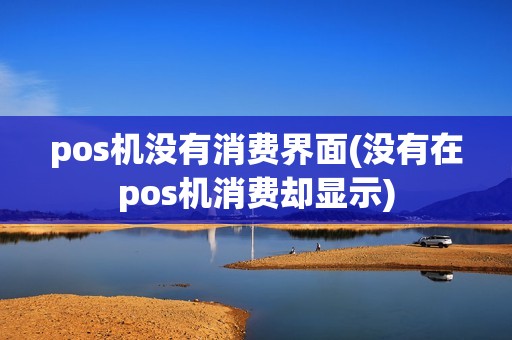 pos机没有消费界面(没有在pos机消费却显示)