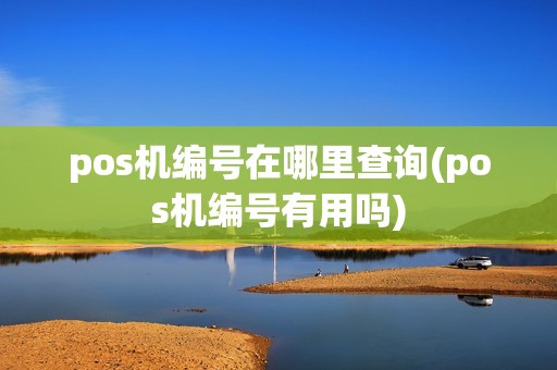 pos机编号在哪里查询(pos机编号有用吗) pos机编号在哪里查询(pos机编号有用吗)
