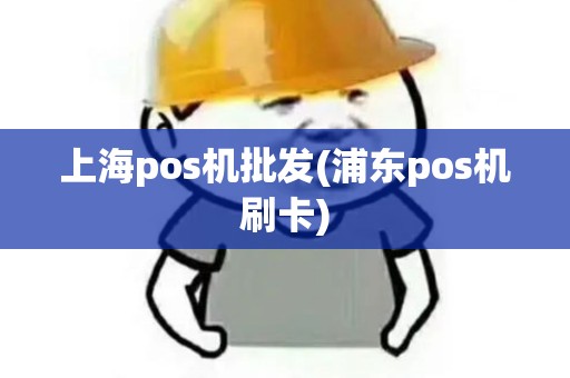 上海pos机批发(浦东pos机刷卡) 上海pos机批发(浦东pos机刷卡)