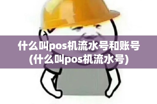 什么叫pos机流水号和账号(什么叫pos机流水号) 什么叫pos机流水号和账号(什么叫pos机流水号)