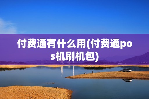 付费通有什么用(付费通pos机刷机包)