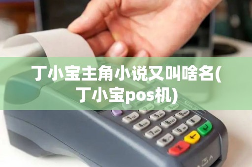 丁小宝主角小说又叫啥名(丁小宝pos机) 丁小宝主角小说又叫啥名(丁小宝pos机)