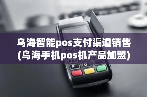 乌海智能pos支付渠道销售(乌海手机pos机产品加盟) 乌海智能pos支付渠道销售(乌海手机pos机产品加盟)