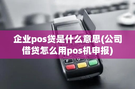 企业pos贷是什么意思(公司借贷怎么用pos机申报)