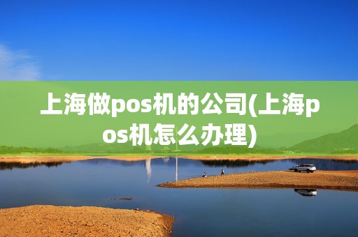 上海做pos机的公司(上海pos机怎么办理)