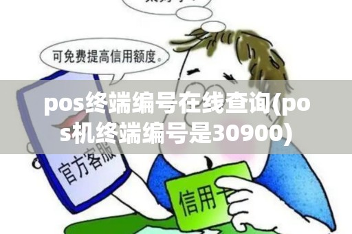 pos终端编号在线查询(pos机终端编号是30900)
