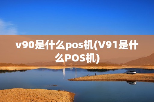 v90是什么pos机(V91是什么POS机)