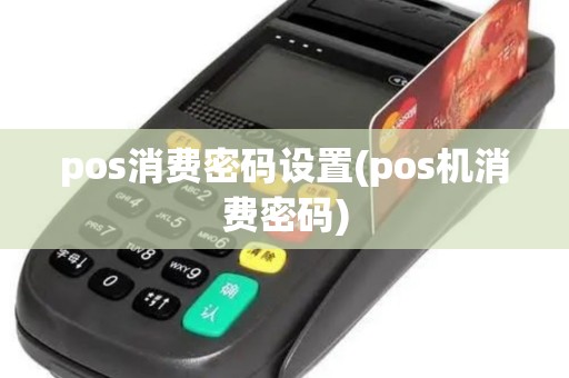 pos消费密码设置(pos机消费密码) pos消费密码设置(pos机消费密码)