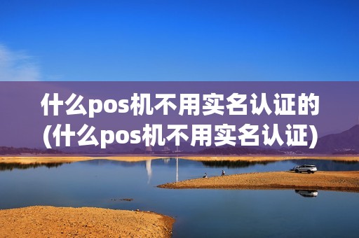 什么pos机不用实名认证的(什么pos机不用实名认证) 什么pos机不用实名认证的(什么pos机不用实名认证)