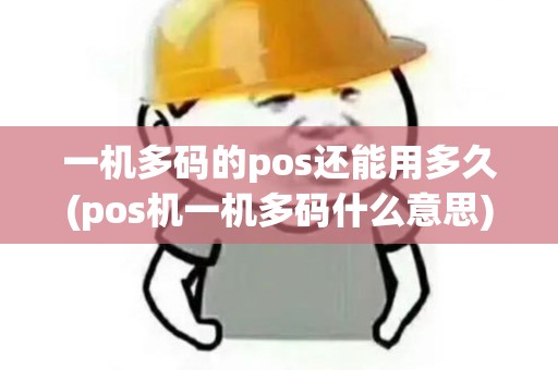 一机多码的pos还能用多久(pos机一机多码什么意思) 一机多码的pos还能用多久(pos机一机多码什么意思)